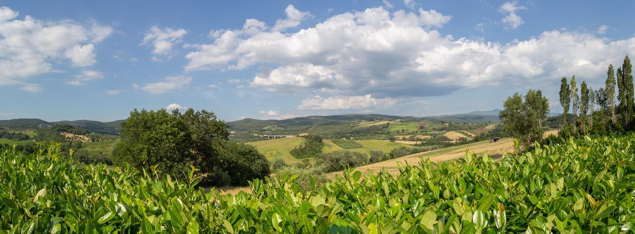 Agriturismo Dei Casali Amelia Kültér fotó